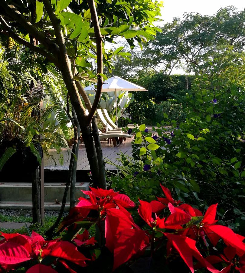 Villa Albizia, Chiang Mai Doi Saket Exteriér fotografie