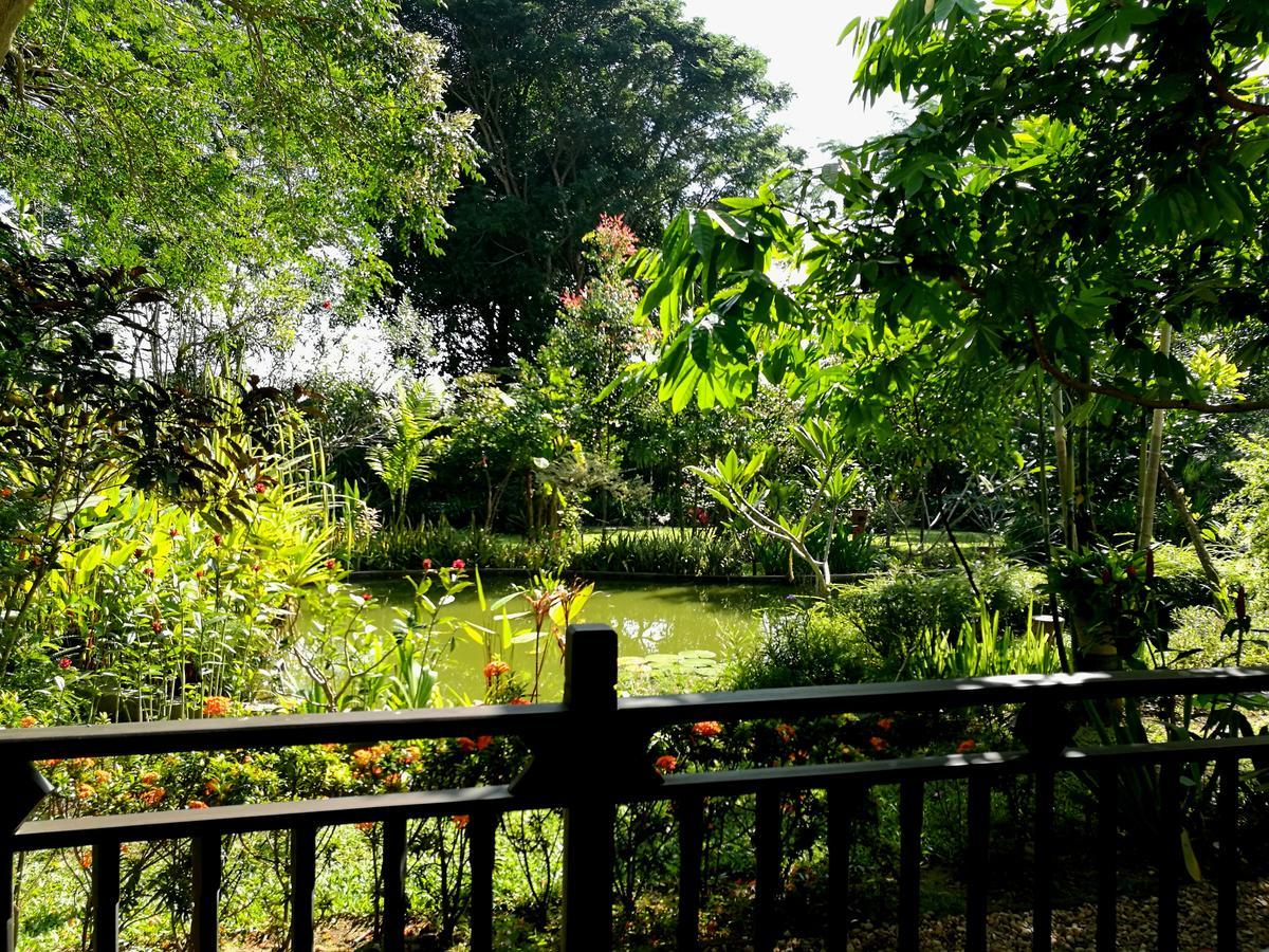Villa Albizia, Chiang Mai Doi Saket Exteriér fotografie